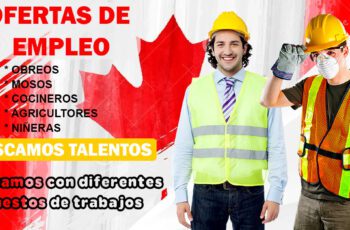 TRABAJA EN EL EXTRANJERO POR DIFERENTES OFERTAS LABORALES