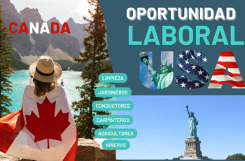 EN CANADÁ Y ESTADOS UNIDOS, OFRECEN EMPLEOS A MAYORES DE 18 AÑOS