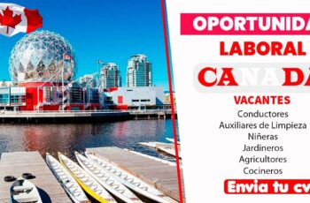 TRABAJA EN CANADÁ RECIBIENDO OFERTAS MAYORES AL SALARIO MÍNIMO