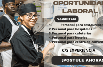 Los Mejores Lavaplatos Trabajos Disponibles en la Actualidad